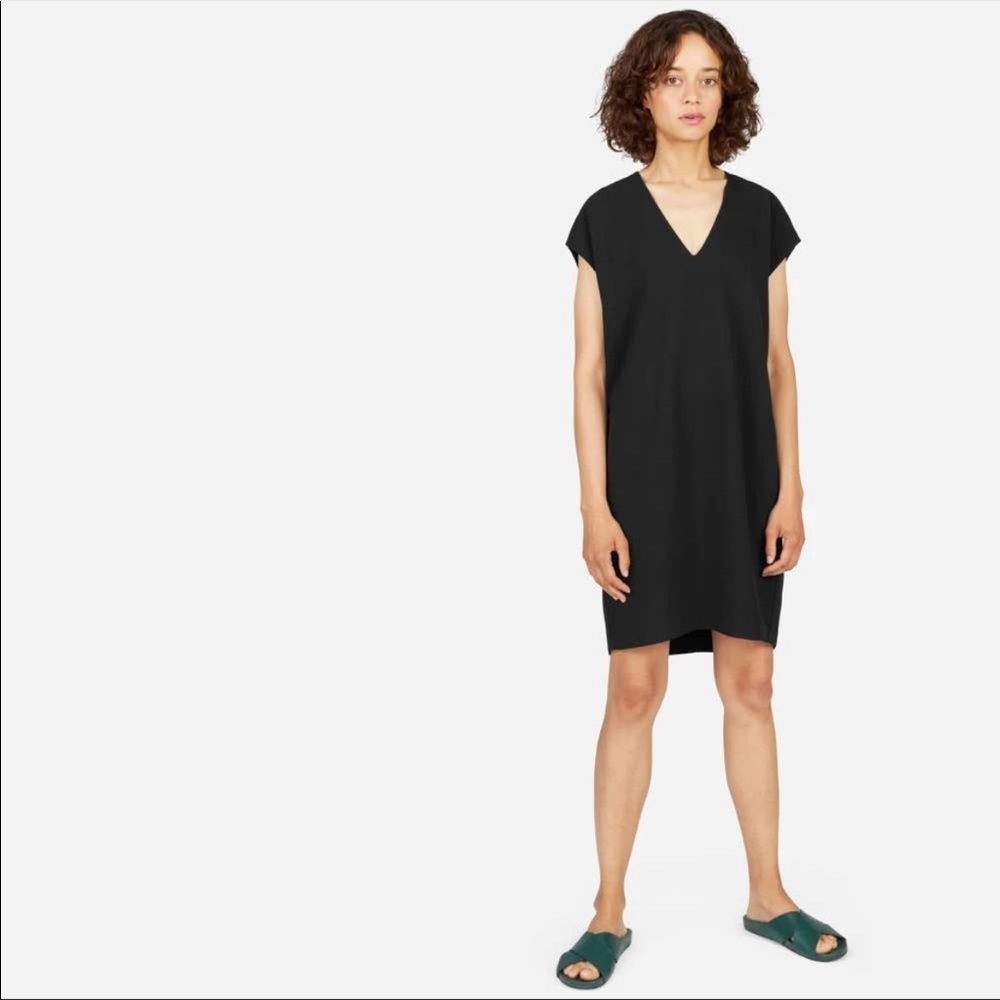 Everlane Japanese GoWeave V-Neck Cocoon Dress Black Size 4